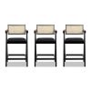 Milan 25.5" Modern Resin Webbing Back Bar Stool with Arms, Set of 3, Ebony Black Boucle