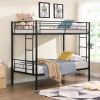Bunk Bed Twin Over Twin Size with 2 Ladders and Full-Length Guardrail, Metal, Storage Space, No Box Spring Needed, Noise Free, Black